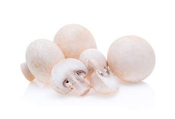 Champignon mushroom isolated on white background.