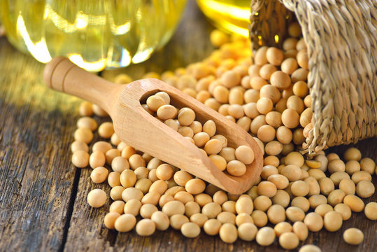 Soy Bean And Oil On Wood Table