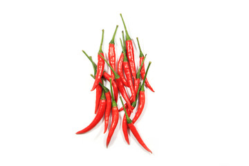Red chili pepper on center white background