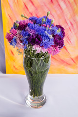 Bouquet of variegated cornflowers on a colored hand drawn background