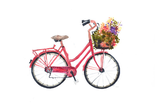 Retro red bicycle with flowers on white, hand drawn watercolor illustrator