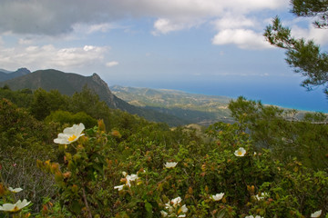 Springtime landscape and sea view from Pentadaktylos mountains in Cyprus