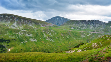 Obraz premium The Carpathian Mountains seen from Transalpina