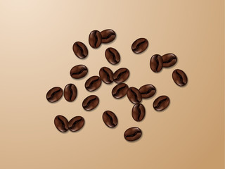 Realistic top view coffee bean. Vector illustration