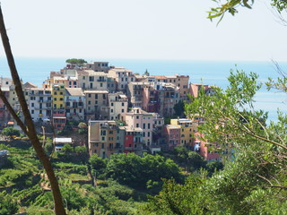 Corniglia - Cinque Terre (Italie)