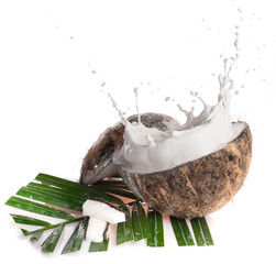 Cracked coconut with milk splash and leaf on white background.