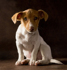 kanst du widerstehen?