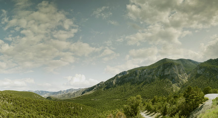 view of nice giant rock in Yosemite national park  