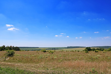 Meadows and fields in the summer