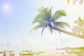 tropical beach with palms trees, holiday and summer tropical beach background.