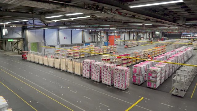 1167_The_long_flower_trains_with_steel_carts_carrying_flower_boxes.mov