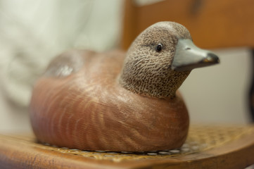 Duck Decoy