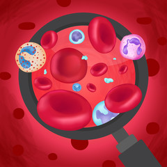 Blood cell close up
