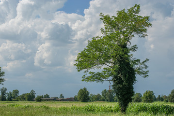 paesaggio di campagna