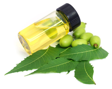 Neem Oil Images – Browse 1,417 Stock Photos, Vectors, and Video | Adobe  Stock