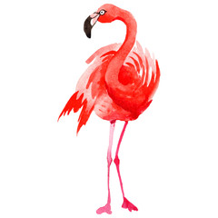 Sky bird flamingo in a wildlife by watercolor style isolated. Wild freedom, bird with a flying wings. Aquarelle bird for background, texture, pattern, frame, border or tattoo.