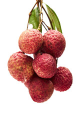 Fresh lychees with leaves