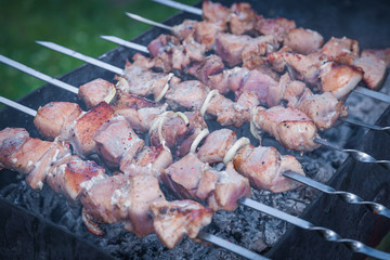 Preparation of shish kebab in the street