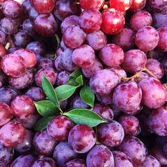 Bunches of red grape berry in fresh fruit market