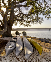 Hilton Head Landscape