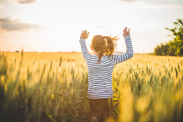 Fototapeta na wymiar Little girl running cross the wheat field