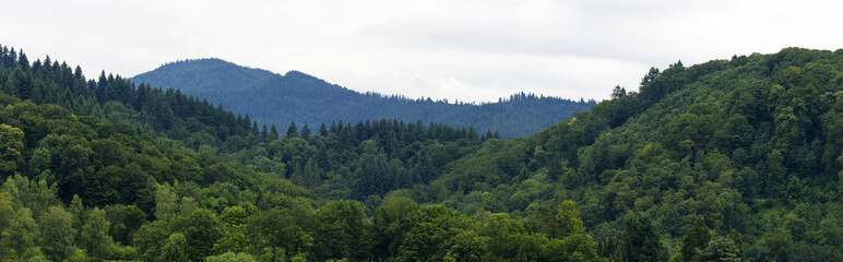 Schwarzwald