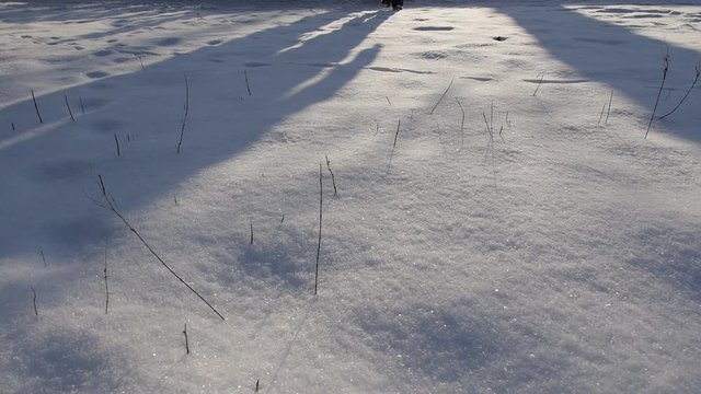 Men's feet walking on the snow
