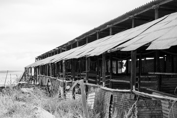 Obraz premium Wide angle view of old buildings and farm instruments on an old abandoned farm
