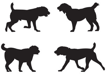 Alabai, Central Asian Shepherd Dog Breed Silhouettes, Central Asian Ovcharka vector illustration from Dog Show silhouette series