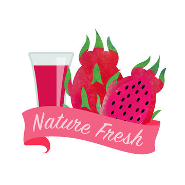 Colorful watercolor texture vector nature organic fresh fruit juice banner red dragon fruit pitaya