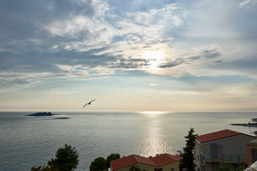 Fototapety na wymiar - Fototapeta24.pl