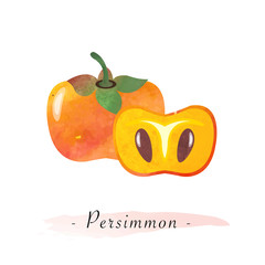 Colorful watercolor texture vector healthy fruit persimmon