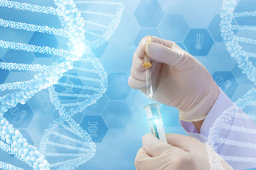 Testing of DNA molecules .