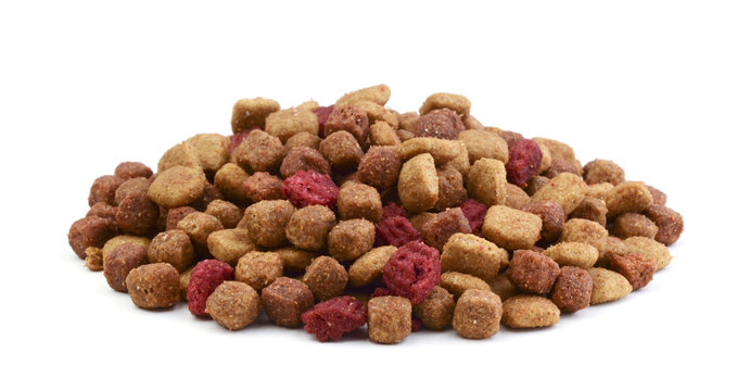 Dry cat food isolated