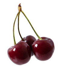 Ripe cherries isolated on white background.