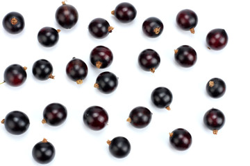 black currant isolated on white background