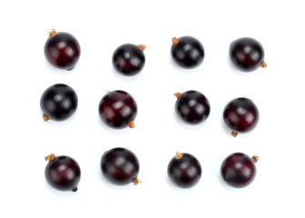 black currant isolated on white background