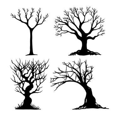 Set of halloween tree . Dead tree from vector.Scary tree in halloween day.Halloween tree by hand drawing.Black tree on white background. 