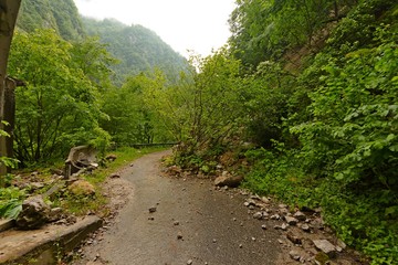 Old abandoned mountain road