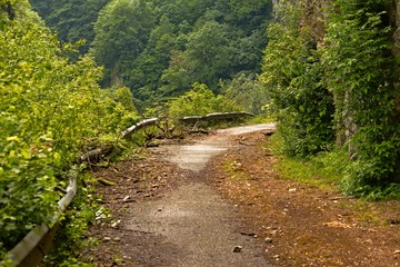 Old abandoned mountain road