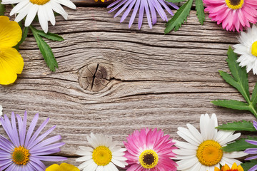 Obraz premium Garden flowers on wood