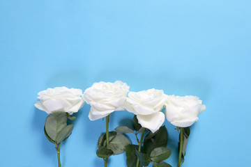 the four white roses on a blue background with an empty space for notes. Romantic card