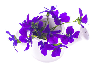 Isolated Garden design-bouquet of purple flowers in white wateri