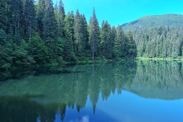 Reflection of the forest and  the sky on the surface of the lake, the Carpathians , Ukraine