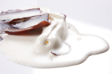 Warm ice cream for children