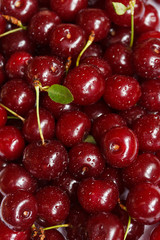 Background of ripe cherries. Selective focus.