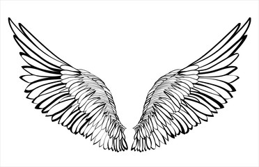 Wings. Vector illustration. Black and white style 