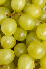 Many berries of white grapes.