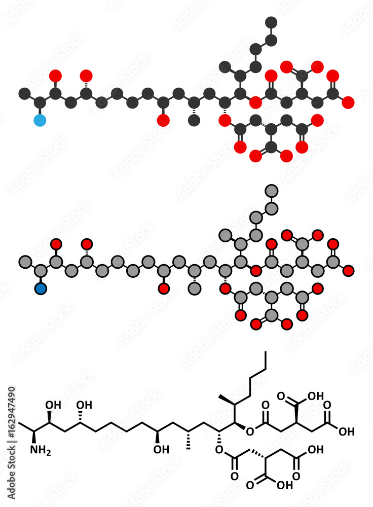 Poster Fumonisin B1 mycotoxin molecule. Fungal toxin produced by some Fusarium molds, often present in corn and other cereals.