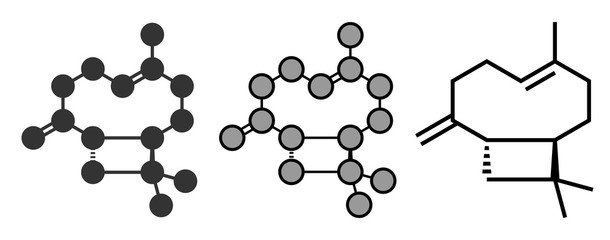 Caryophyllene molecule. Constituent of multiple herbal essential oils, including clove oil.